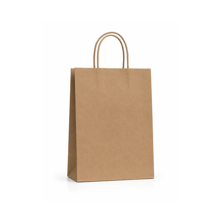 Medium Kraft Paper Gift Bag with Handles, 15 Pack – 21 x 27 cm